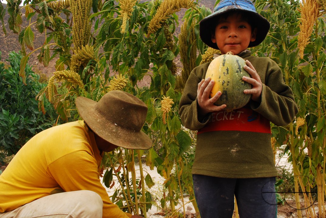 Francisco proudly shows the results of his work. He wasn't at school because of the workers day. Juella, Quebrada de Humahuaca, Jujuy, Argentina. May 1 2010.