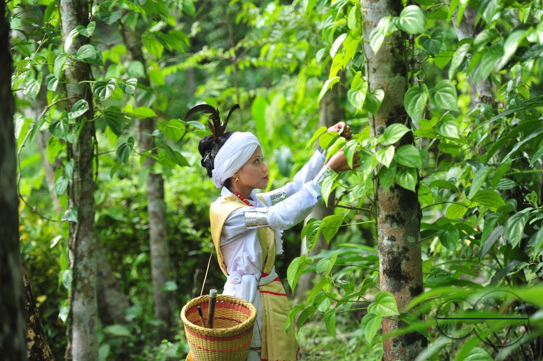 Sylhet, Bangladesh