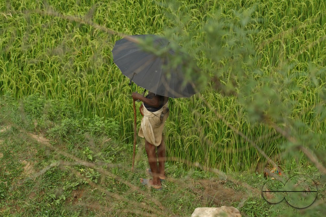 People of Nepal