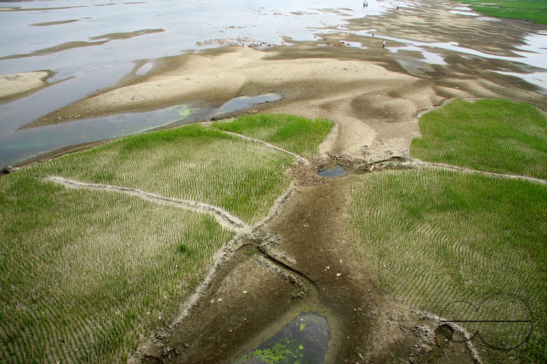 MWC020656