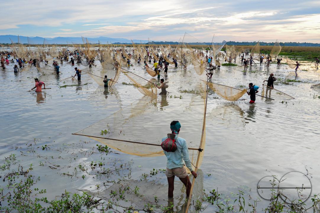 Rural people armed with Bamboo fish traps and nets take part in celebrating a 200-year winter fishing festival at the jofra beel of gasbari union of Kanaighat upazila of Sylhet, Bangladesh.