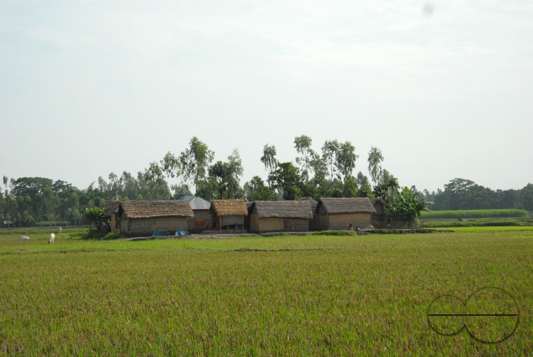MWC024437