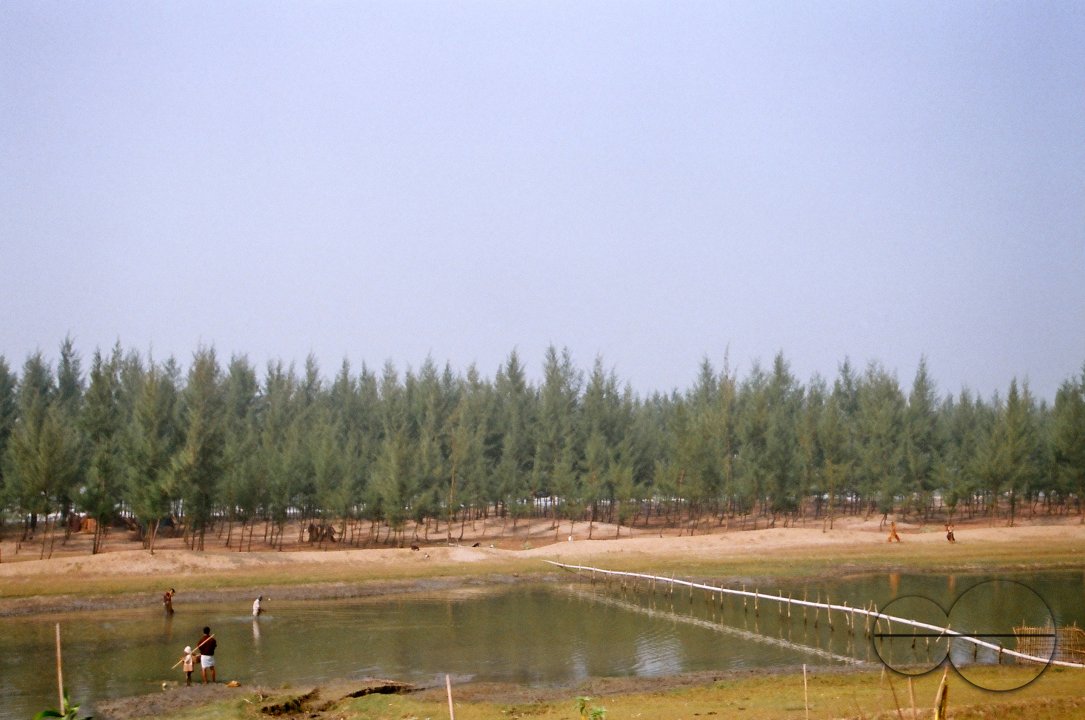 MWC011801