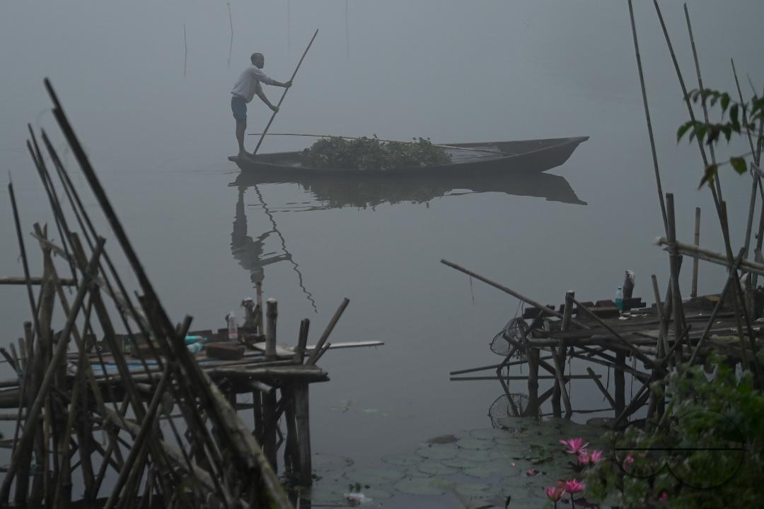 A worker collects plankton on a foggy morning at the MBB College lake at Agartala