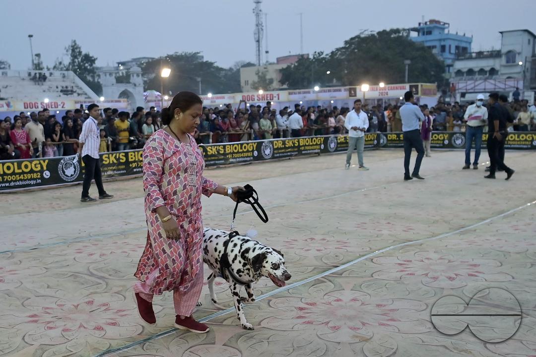 Dogs performing trainers during the Agartala Dog Carnival-2024, organized by Tripura Veterinary Doctors Association & Pawsome (A social organisation) at Agartala