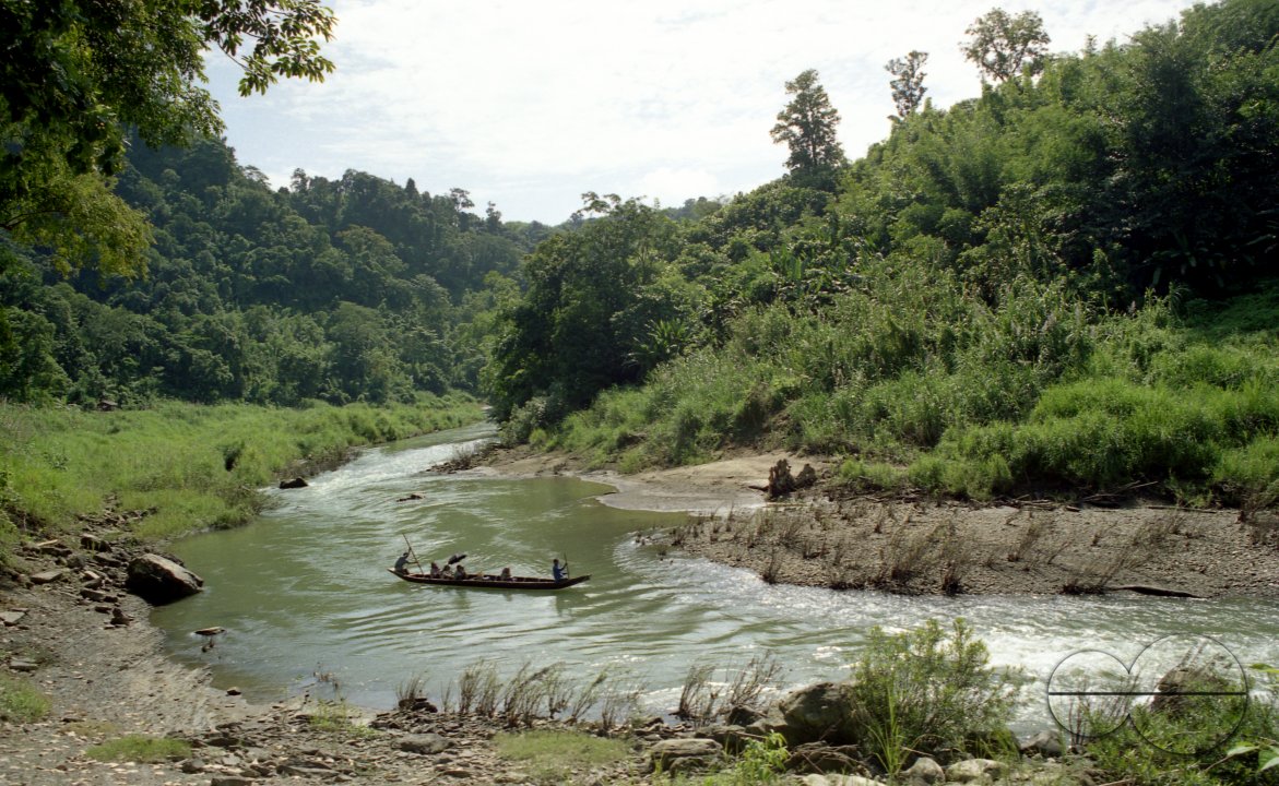 MWC010291