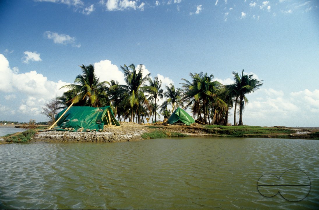 MWC012868
