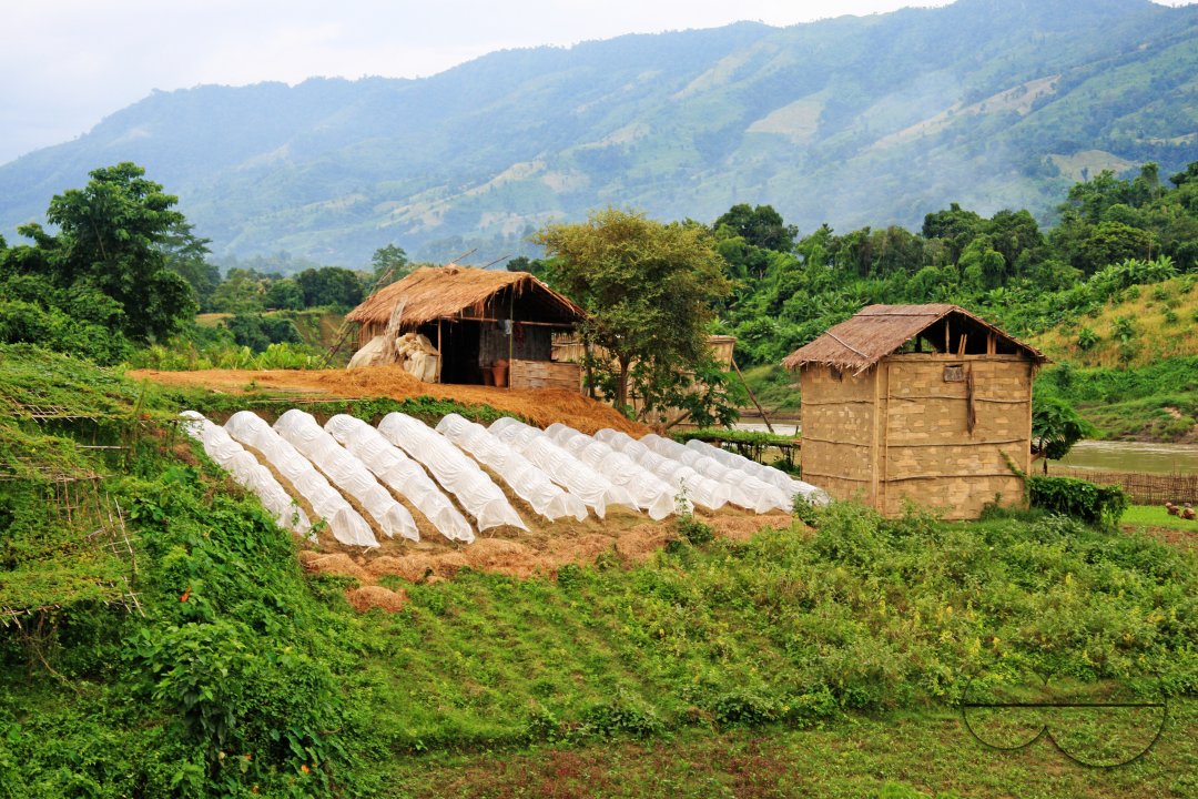 Lifestyle of Indigenous Tribal Peoples