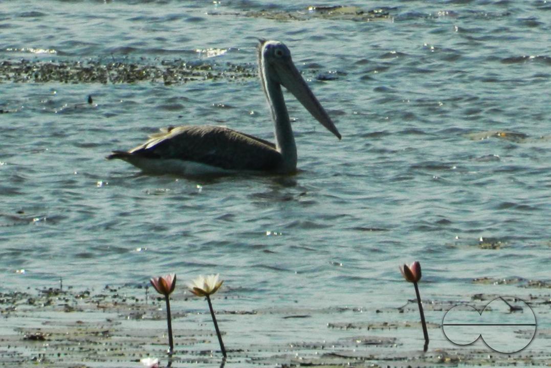 MWC052712