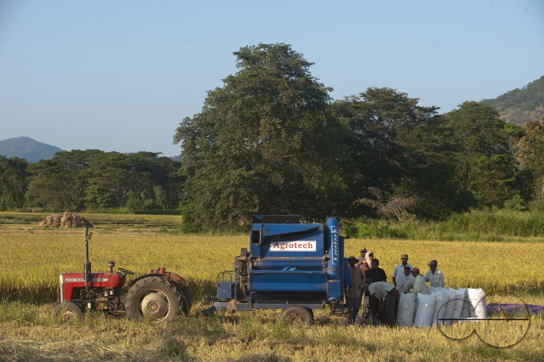Sri Lanka. Combine harvester at work on a rice field near Buttala.