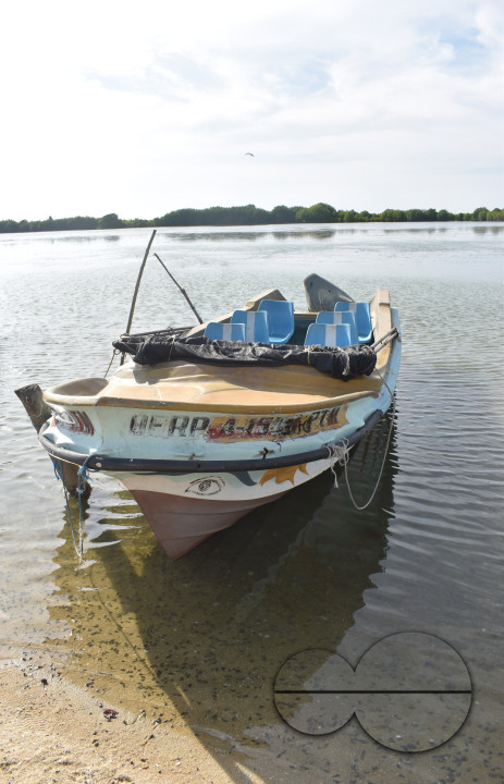 MW155606