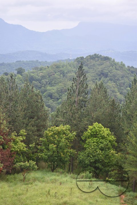MWC031427