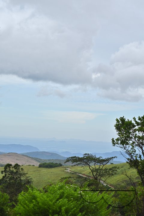 MWC031471