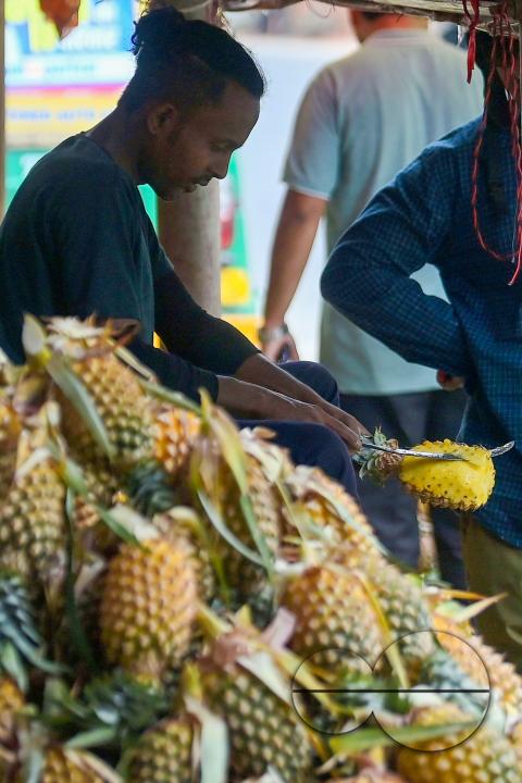 A vendor in Agartala sells fresh pineapples, a renowned summer fruit from Tripura, at a bustling roadside fruit market