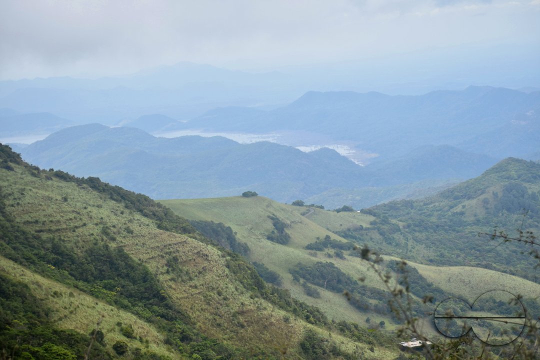 MWC031437