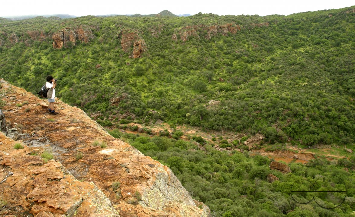 MWC023242