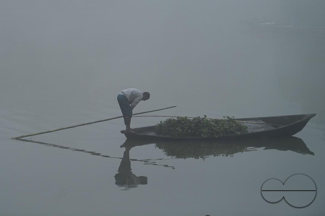 A worker collects plankton on a foggy morning at the MBB College lake at Agartala
