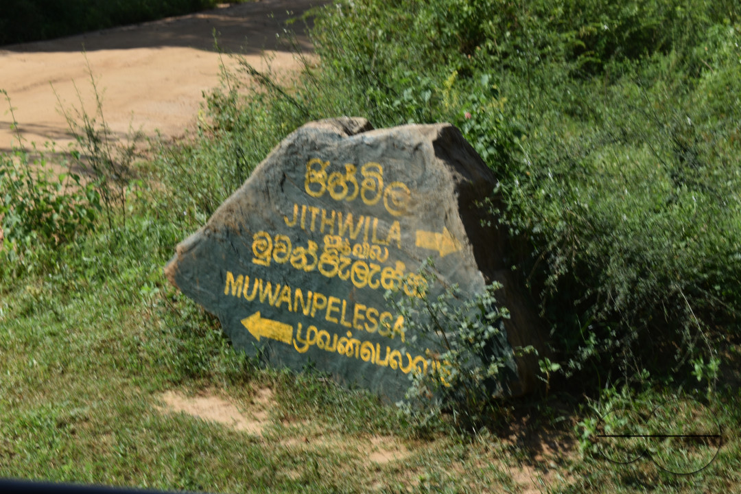 MW155693