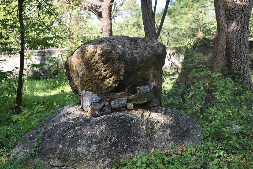 MW155794