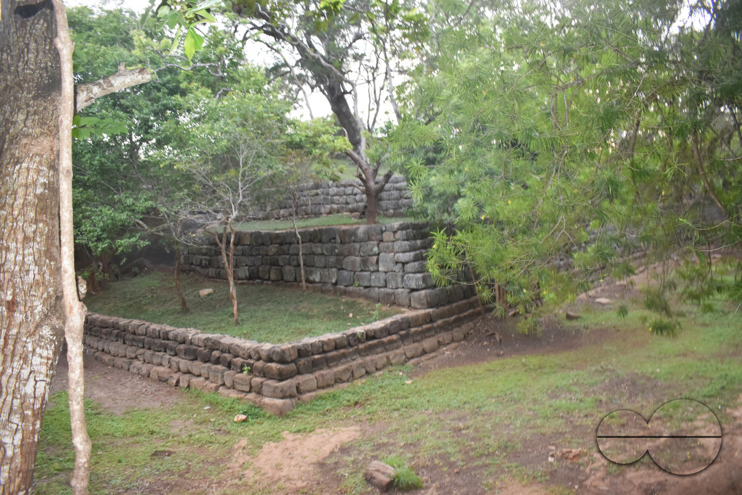 MW155999