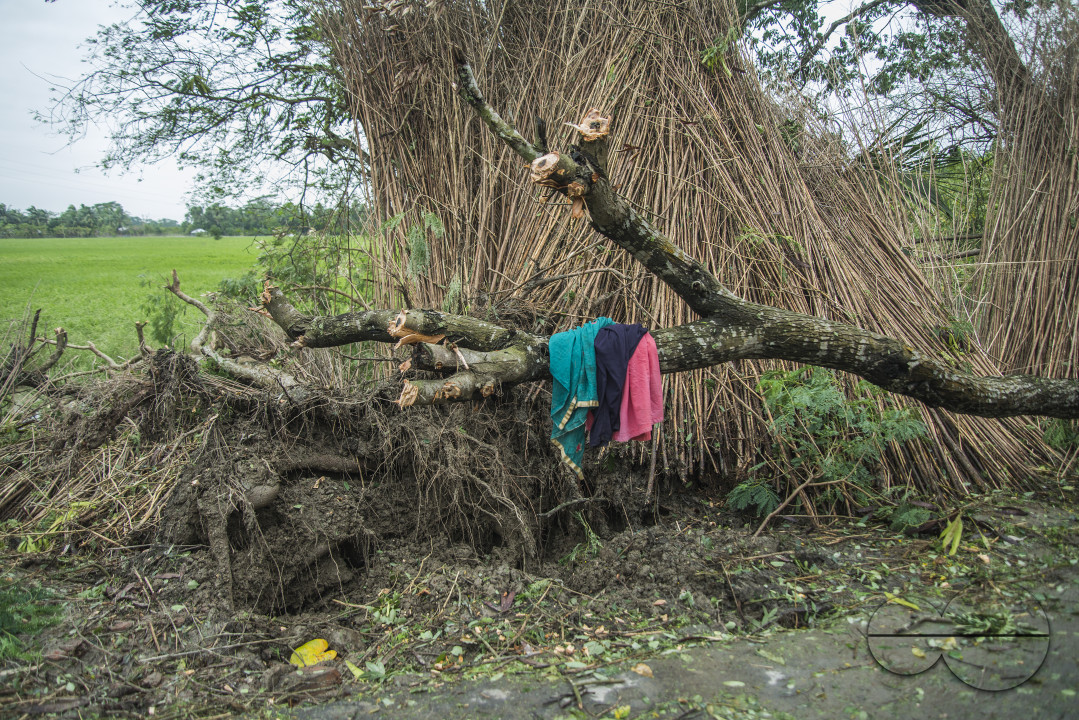 Cyclone Bulbul