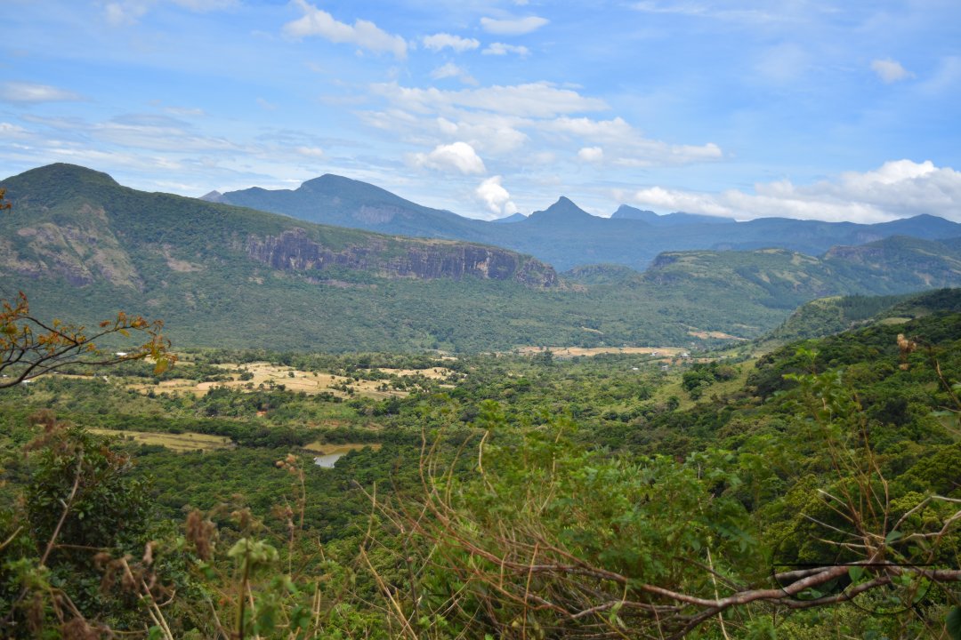 MWC031493