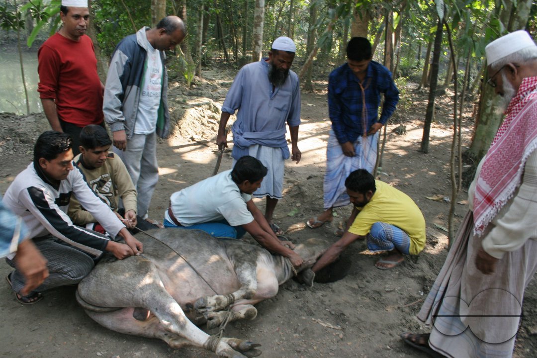 Eid_Festival_Bangladesh