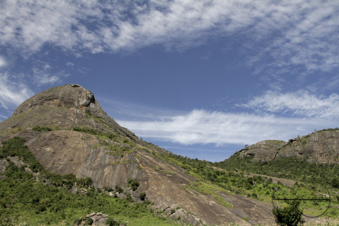 MWC041332