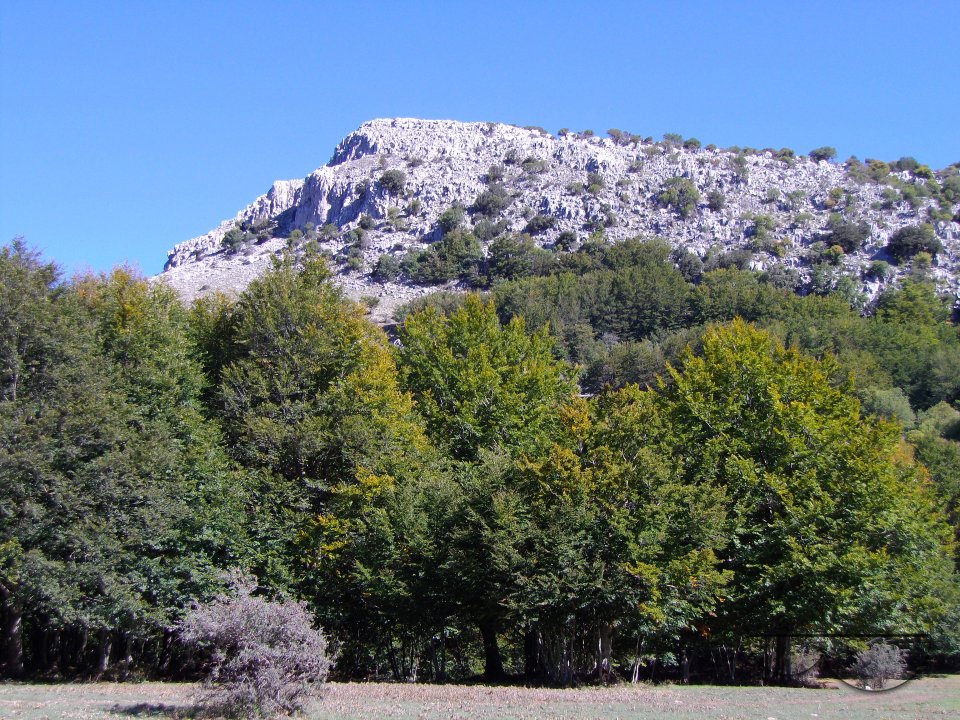 MWC036393
