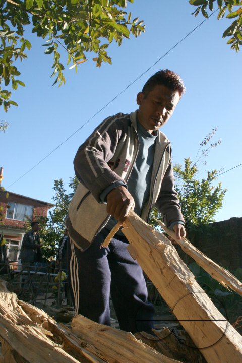MWC08560