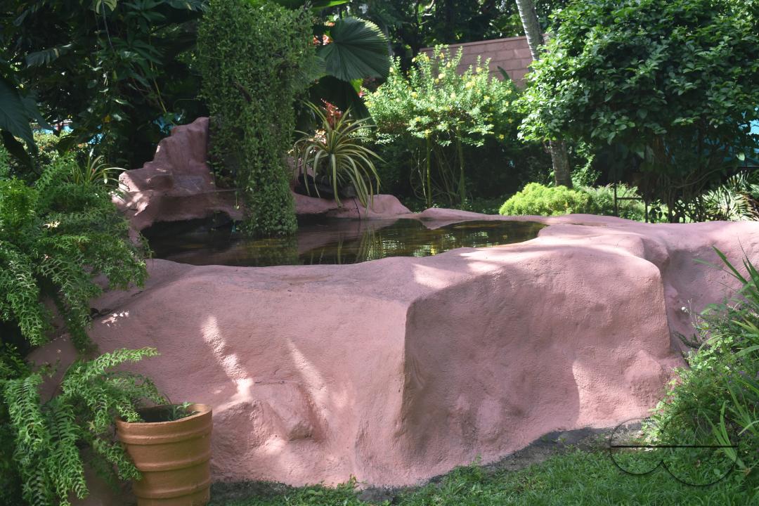 MWC049156