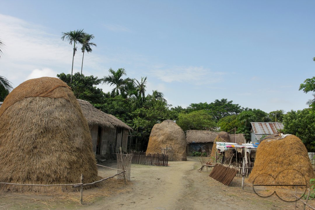 MWC012834