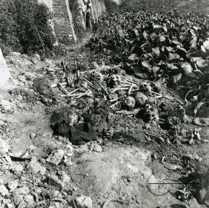 MWC008319