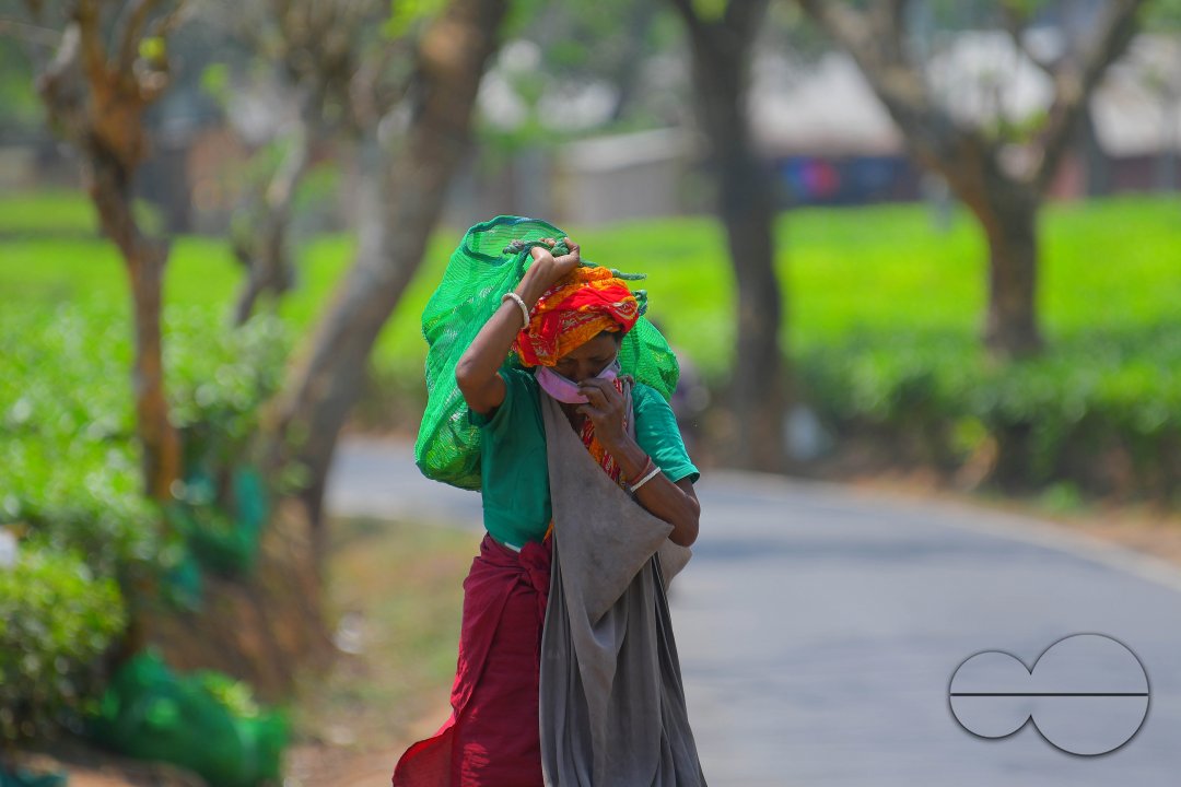 Tea garden workers during lockdown