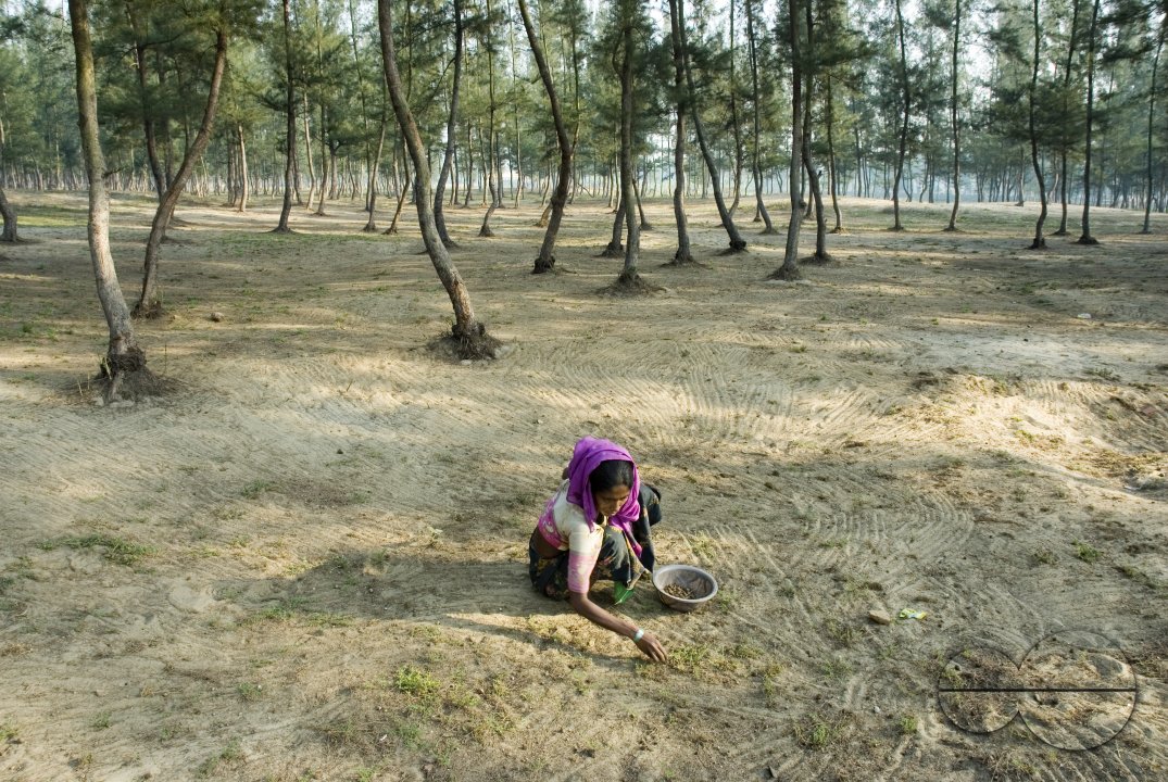 Rahinhga refugee