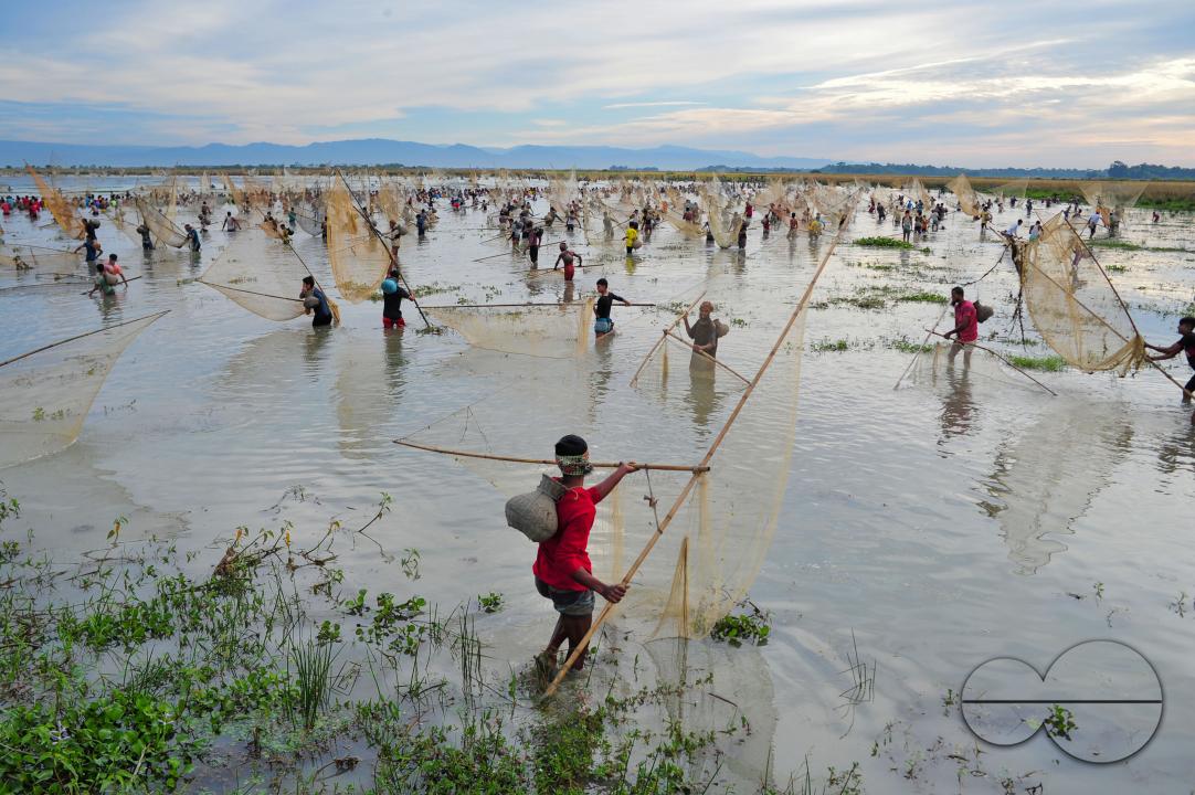Rural people armed with Bamboo fish traps and nets take part in celebrating a 200-year winter fishing festival at the jofra beel of gasbari union of Kanaighat upazila of Sylhet, Bangladesh.