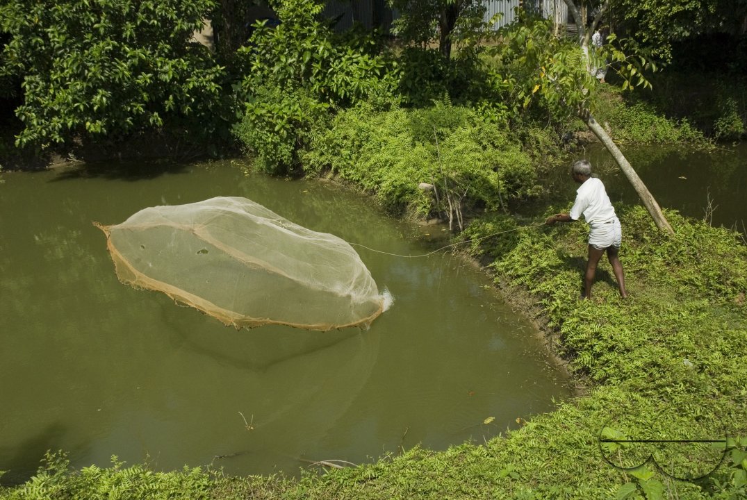 Village_Bangladesh