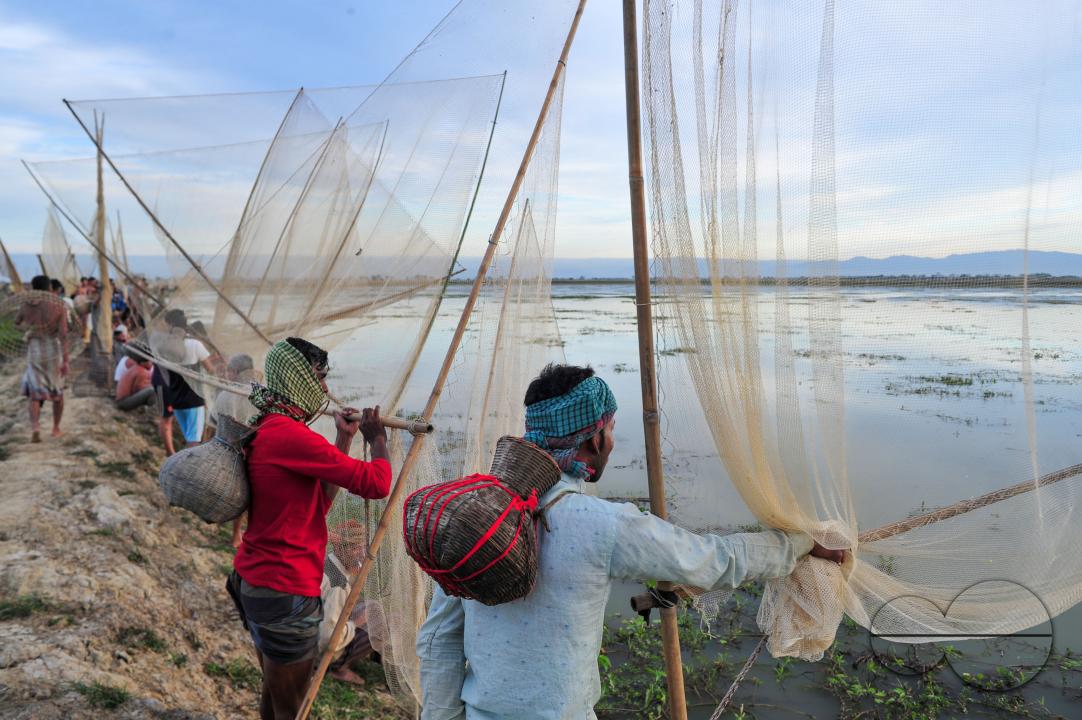 Rural people armed with Bamboo fish traps and nets take part in celebrating a 200-year winter fishing festival at the jofra beel of gasbari union of Kanaighat upazila of Sylhet, Bangladesh.