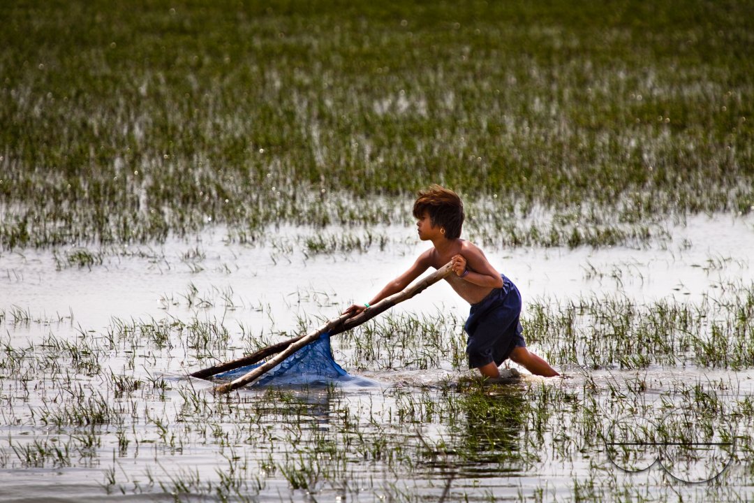 Climate refugees