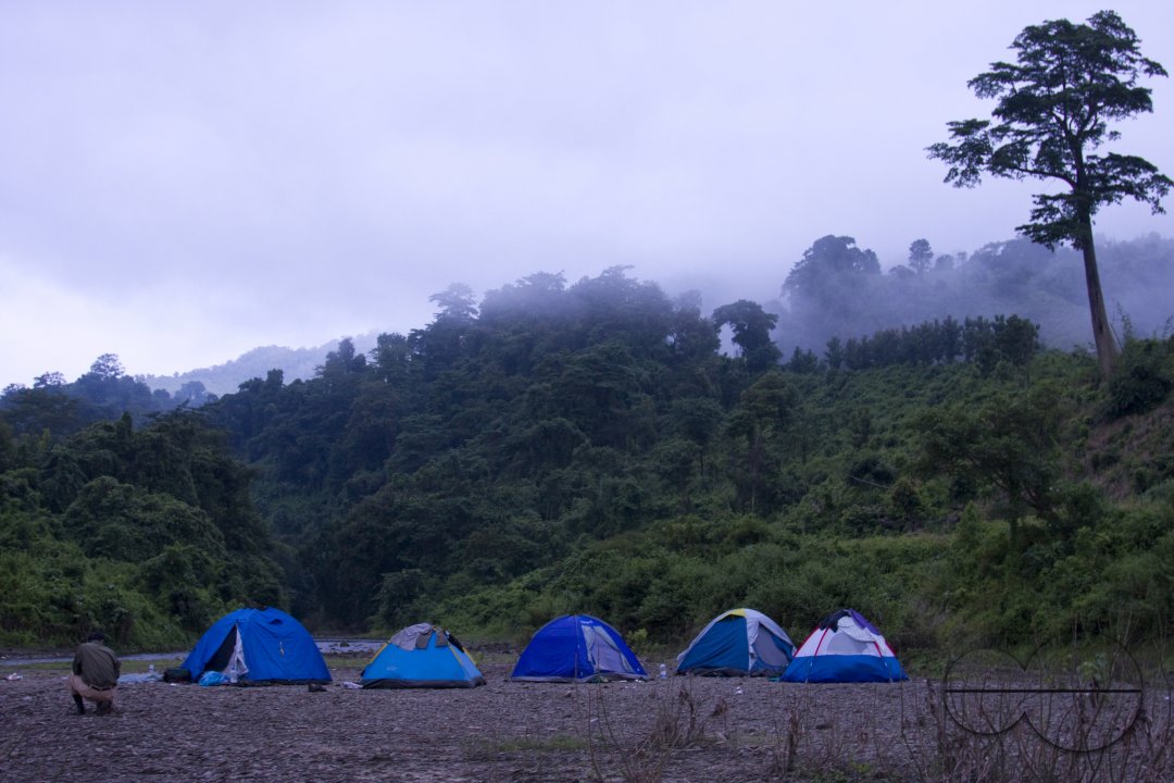 MWC012773