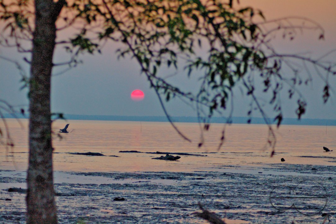 Sundarbans, Khulna, Bangladesh
