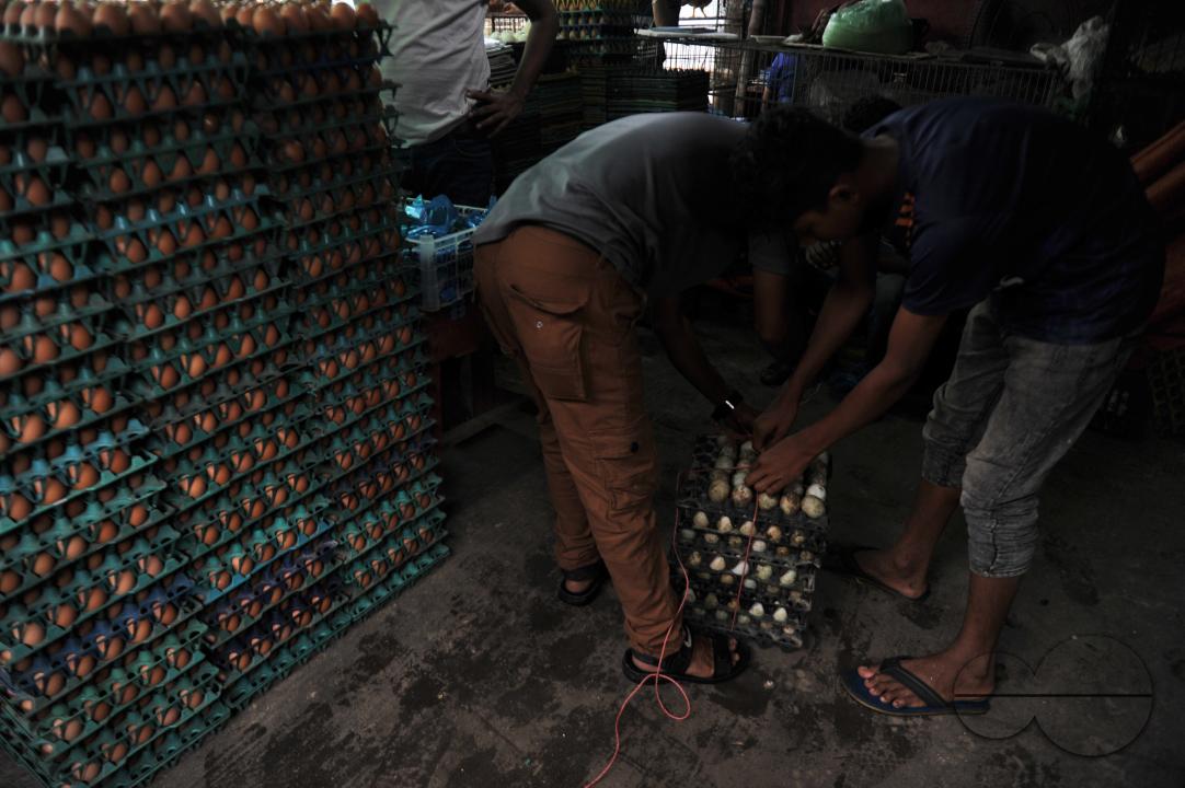 People buying Eggs in 160 Tk per dozen at the Modina market in Sylhet