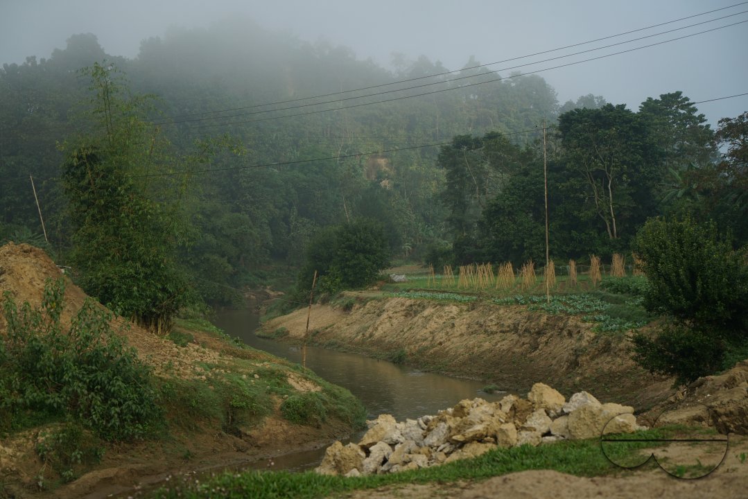 MWC031662