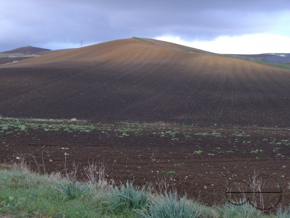MWC036291