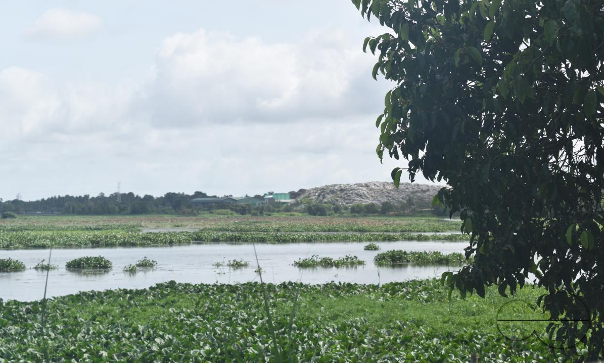 MWC049294