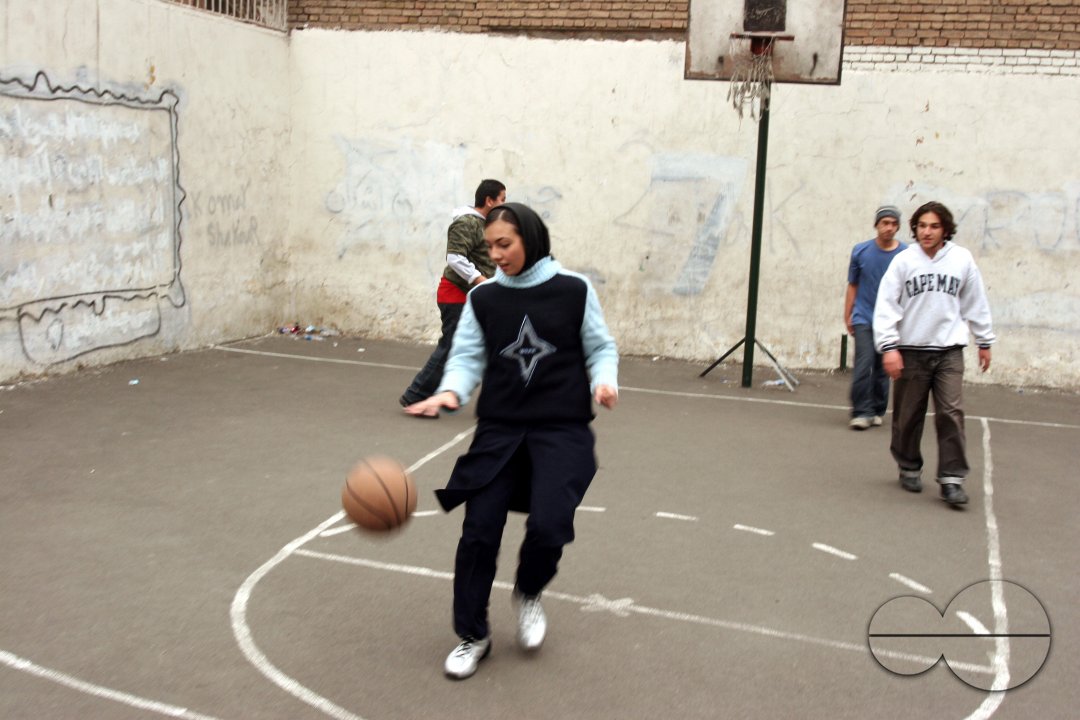 Iranian society