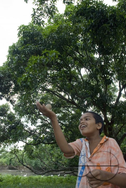 Village_Game_Bangladesh