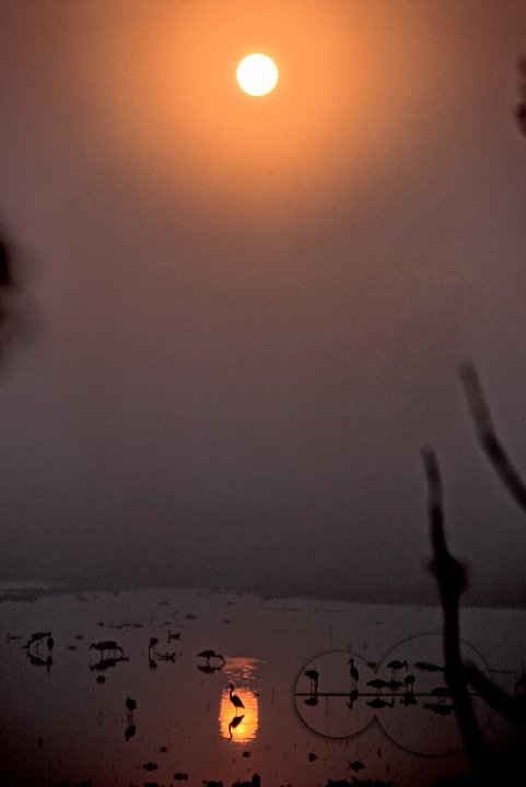 Brahmaputra