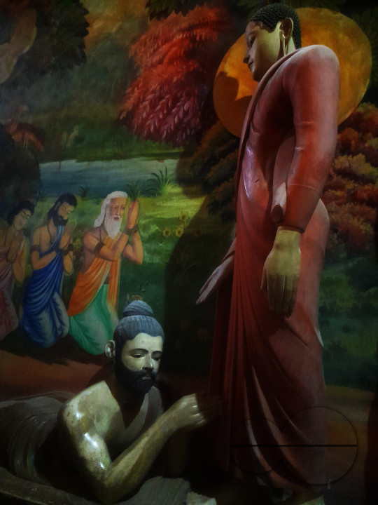 MW157265