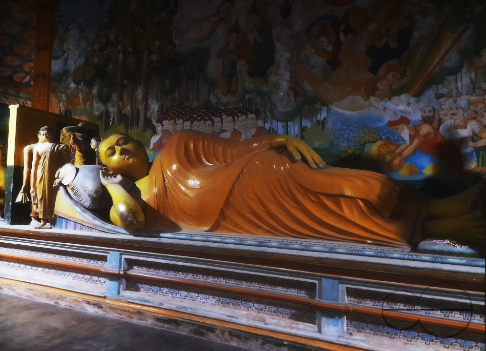 MW157279
